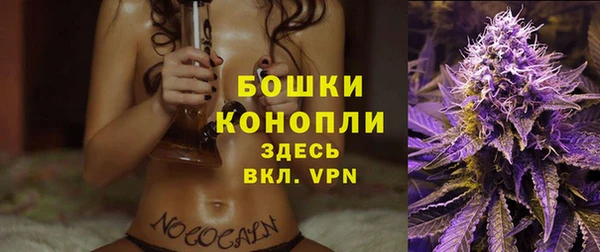 дурь Сосновка