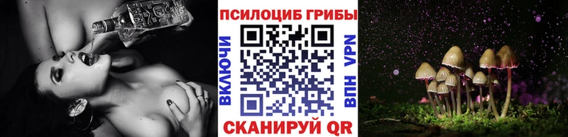 где купить наркоту  Ковров  blacksprut вход  Галлюциногенные грибы ЛСД 